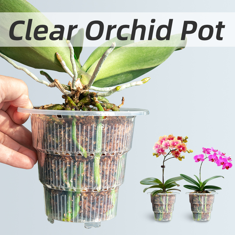 Aloe Vera Pot - Vasi per orchidee in plastica trasparente