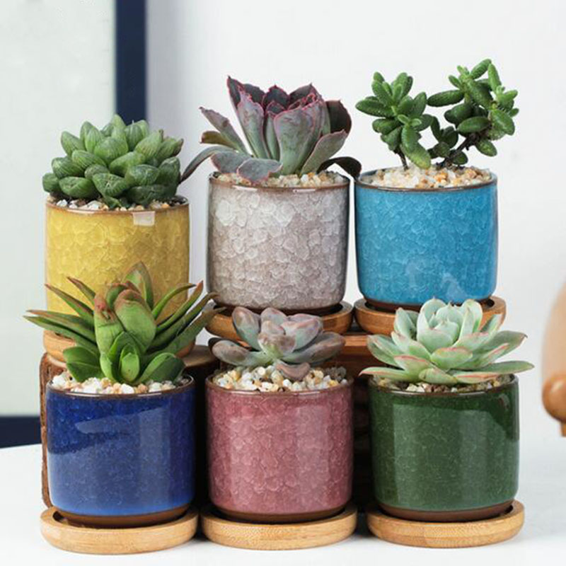 Aloe Vera Pot - 6 pz/set Vaso di Fiori In