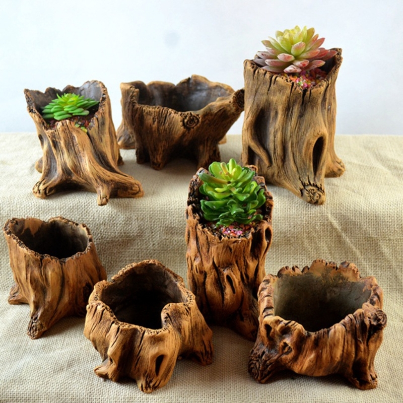 Aloe Vera Pot - Garden vintage in legno pentole fiori