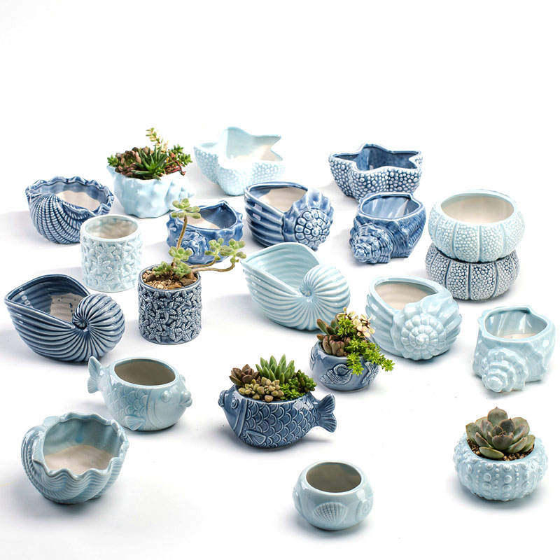 Aloe Vera Pot - Vaso per Piante Grasse in Stile