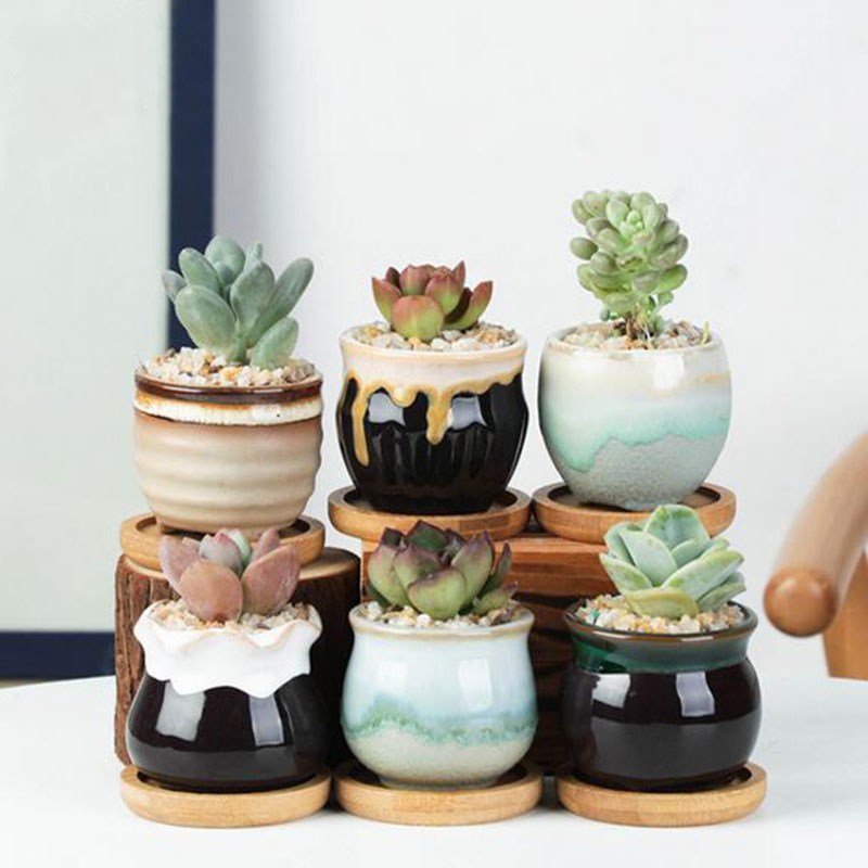 6 pz/set Vaso di Fiori In Cera - Aloe Vera Pot recensione e prezzo