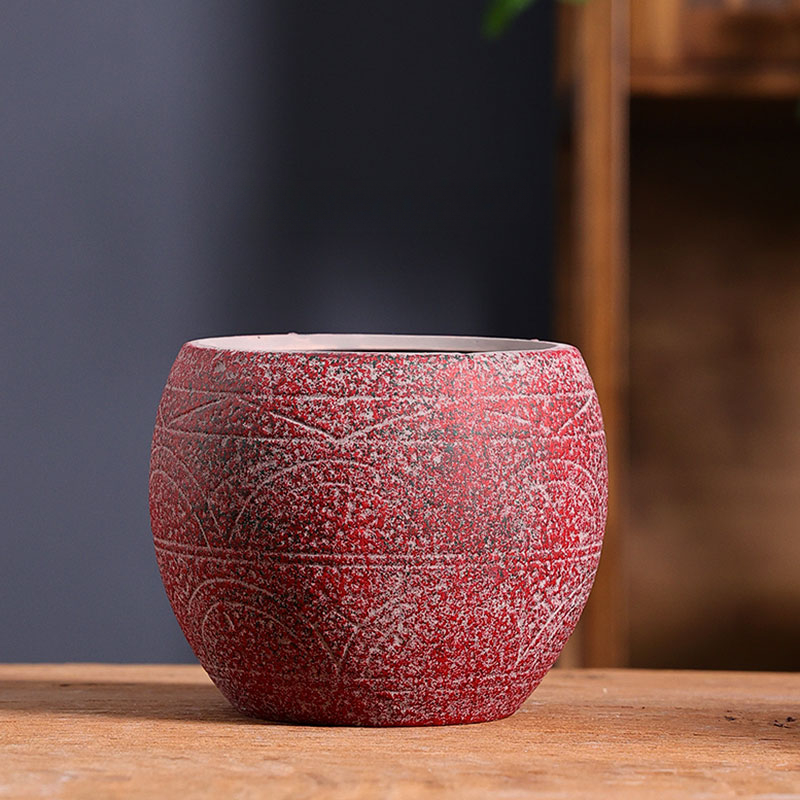 Vaso da fiori succulente medit - Aloe Vera Pot recensione e prezzo