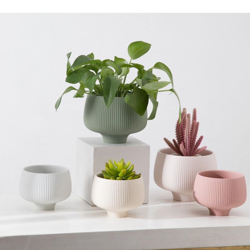 Strisce multicolori Vaso in ce - Aloe Vera Pot recensione e prezzo