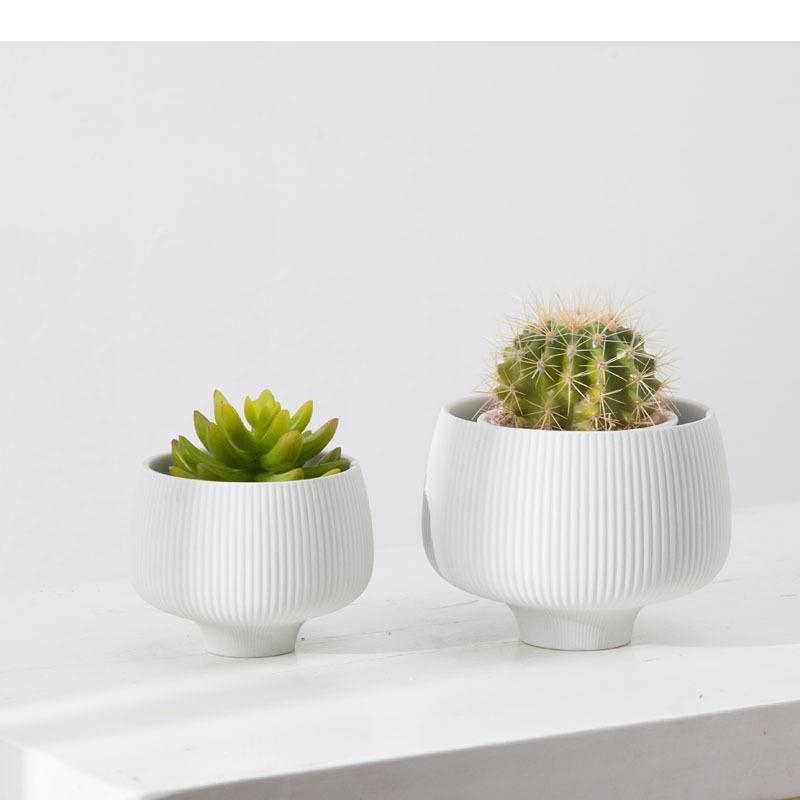 Strisce multicolori Vaso in ce - Aloe Vera Pot recensione e prezzo
