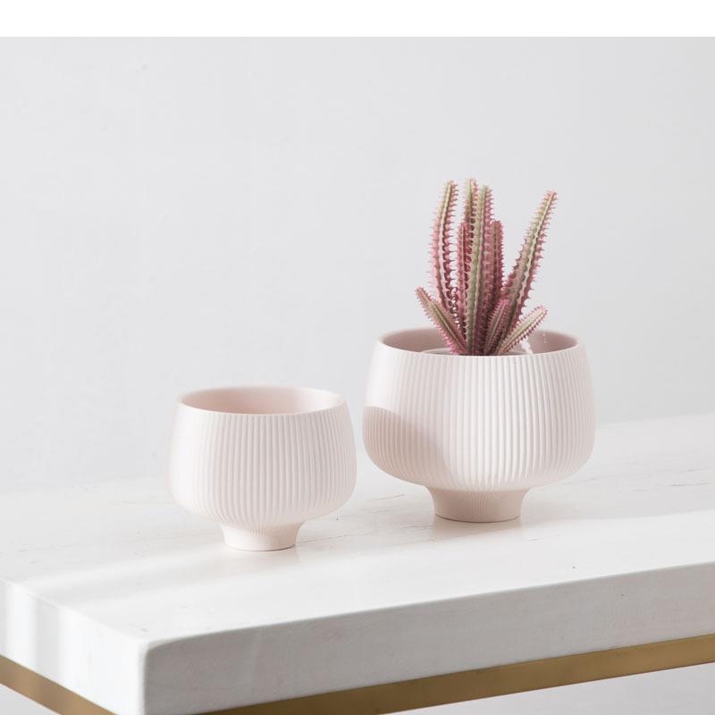 Strisce multicolori Vaso in ce - Aloe Vera Pot recensione e prezzo