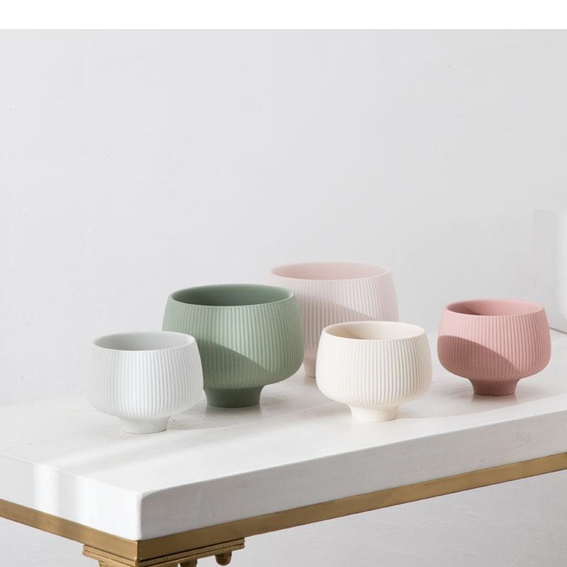 Strisce multicolori Vaso in ce - Aloe Vera Pot recensione e prezzo