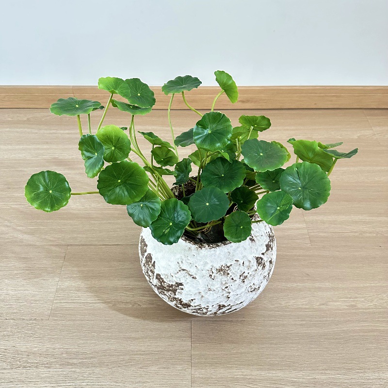 2 pezzi di foglie finte artifi - Pilea Peperomioides recensione e prezzo