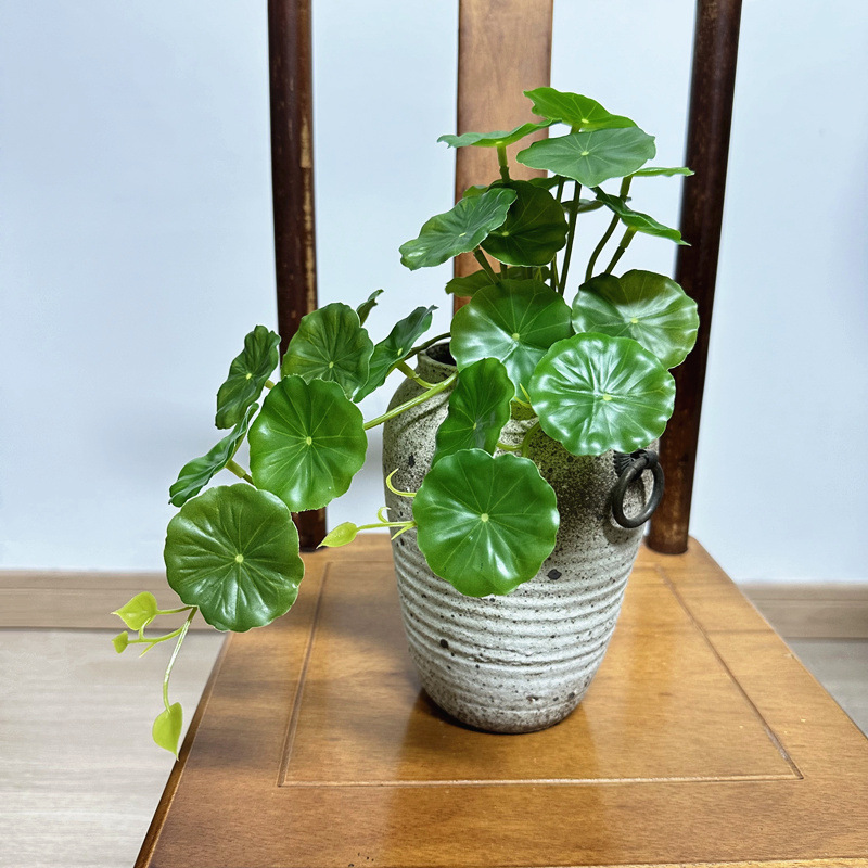 2 pezzi di foglie finte artifi - Pilea Peperomioides recensione e prezzo