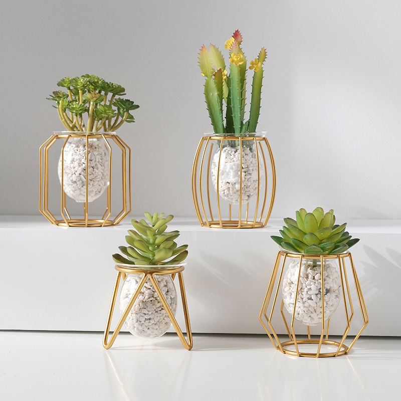 Decorazioni da tavolo per vasi - Aloe Vera Pot recensione e prezzo