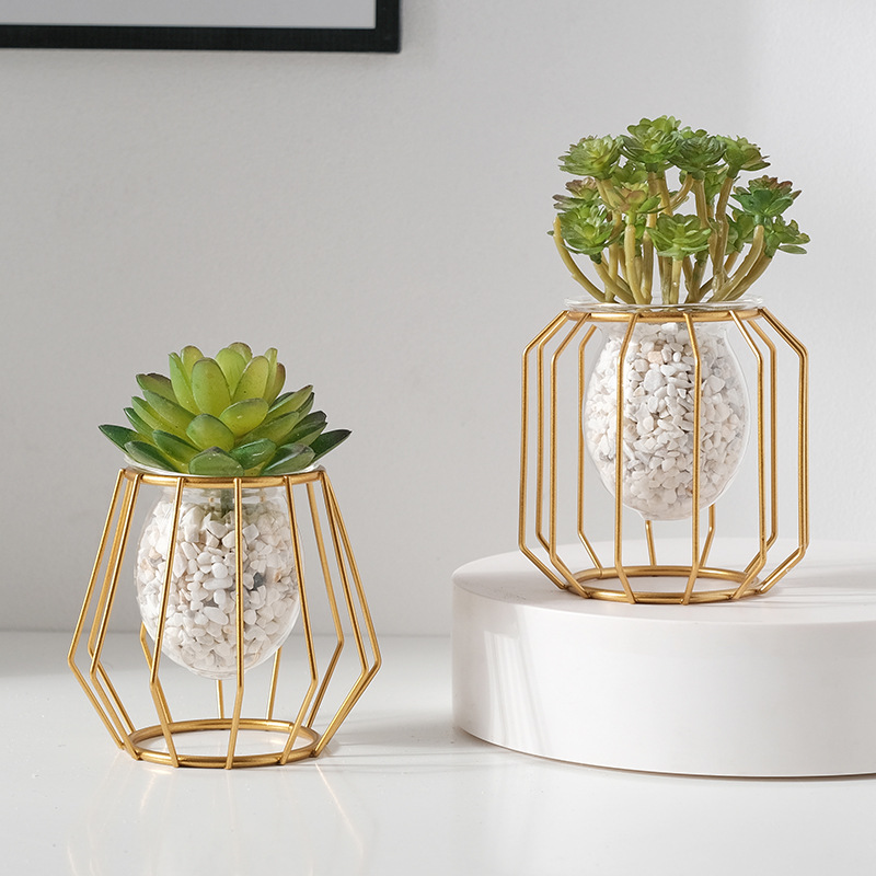 Decorazioni da tavolo per vasi - Aloe Vera Pot recensione e prezzo