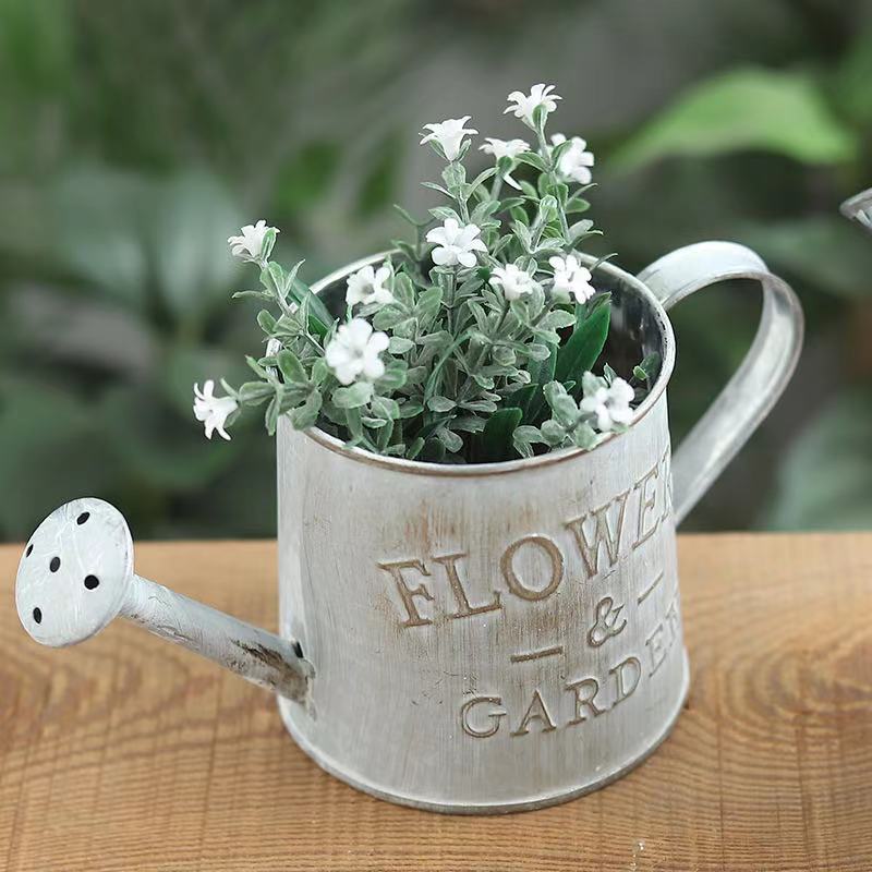 Barili Decorazione da giardino - Aloe Vera Pot recensione e prezzo