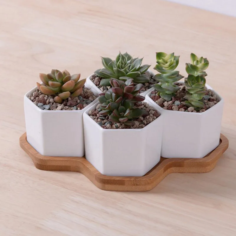Set di 4/7/9/10 Vasi da fiori  - Aloe Vera Pot recensione e prezzo