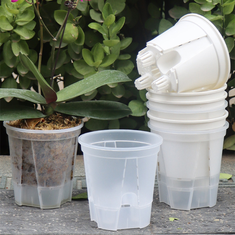 Vaso per orchidee trasparente  - Aloe Vera Pot recensione e prezzo