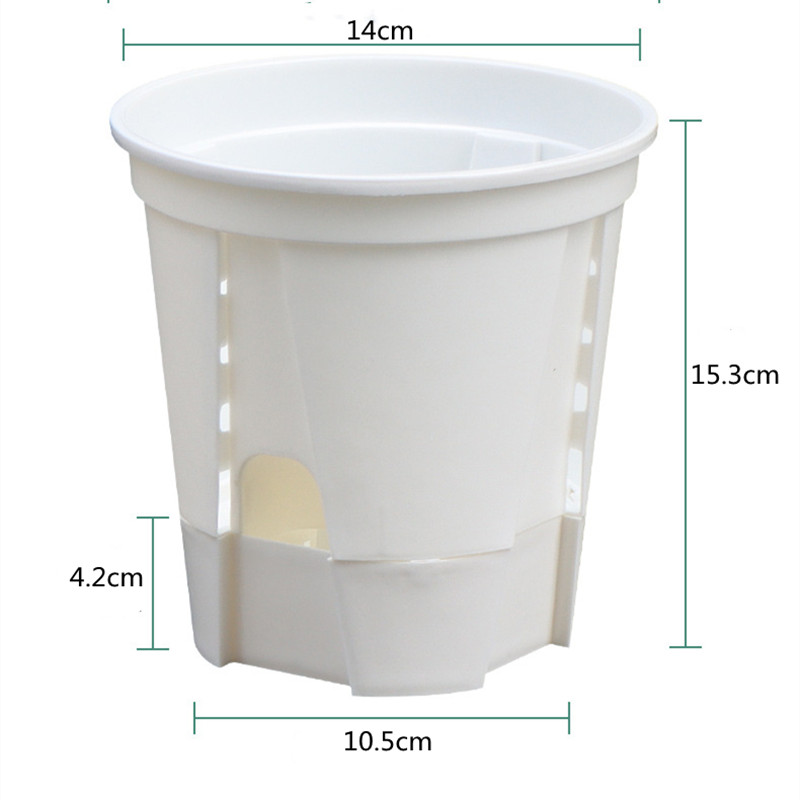 Vaso per orchidee trasparente  - Aloe Vera Pot recensione e prezzo